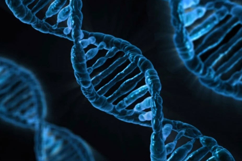 Ludzkie DNA