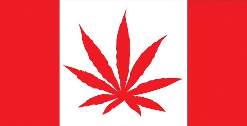Kanada wchodzi w legalną marihuanę
