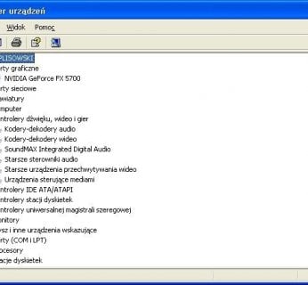 Windows XP i Vista rzadko wykazują się nowoczesnymi aplikacjami, za to przeważnie są przejrzyste – jak np. w przypadku Menedżera sprzętu.