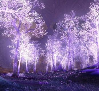 Silnik graficzny World of Warcraft to nieznacznie zmodyfikowany engine Warcrafta III, co nie przeszkadza mu w generowaniu przepięknych krain