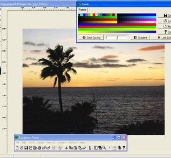 Ultimate Paint LE
