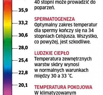 skala kamery termowizyjnej