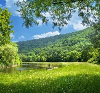 Fot. fotolia.pl