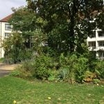 Zdjęcie wykonane w plenerze: Fotografia może się podobać – ma ładne kolory i odpowiednią ostrość.