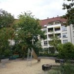 Zdjęcie wykonane w plenerze: Podobnie jak zdjęcia laboratoryjne, fotografie zrobione w plenerze cieszą oko ostrością i naturalnymi kolorami.