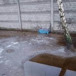 Zdjęcia przedstawiające sytuację podtopionego Schroniska dla zwierząt w Korabiewicach
