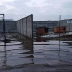 Zdjęcia przedstawiające sytuację podtopionego Schroniska dla zwierząt w Korabiewicach