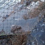 Zdjęcia przedstawiające sytuację podtopionego Schroniska dla zwierząt w Korabiewicach