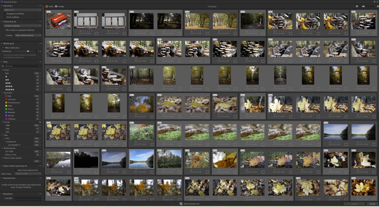 Capture One Pro 23