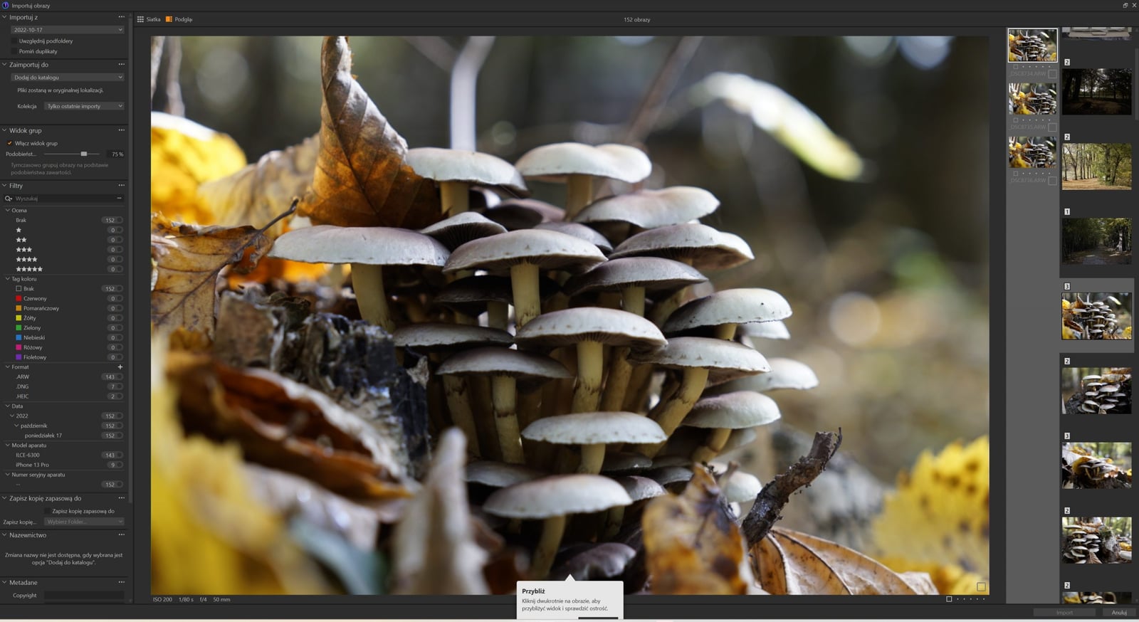 Capture One Pro 23