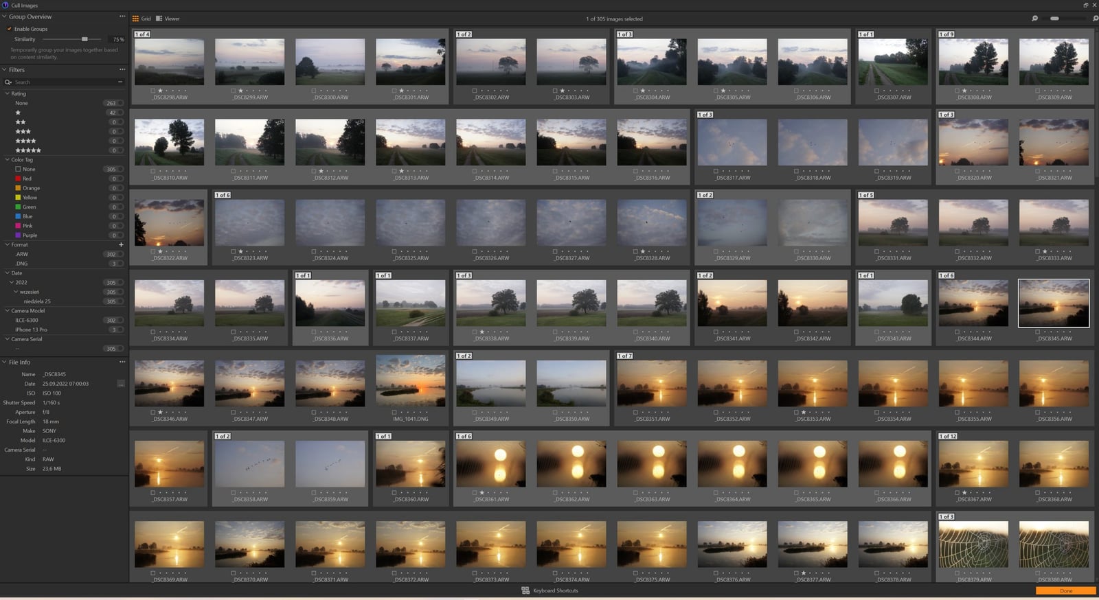 Capture One Pro Cull Image