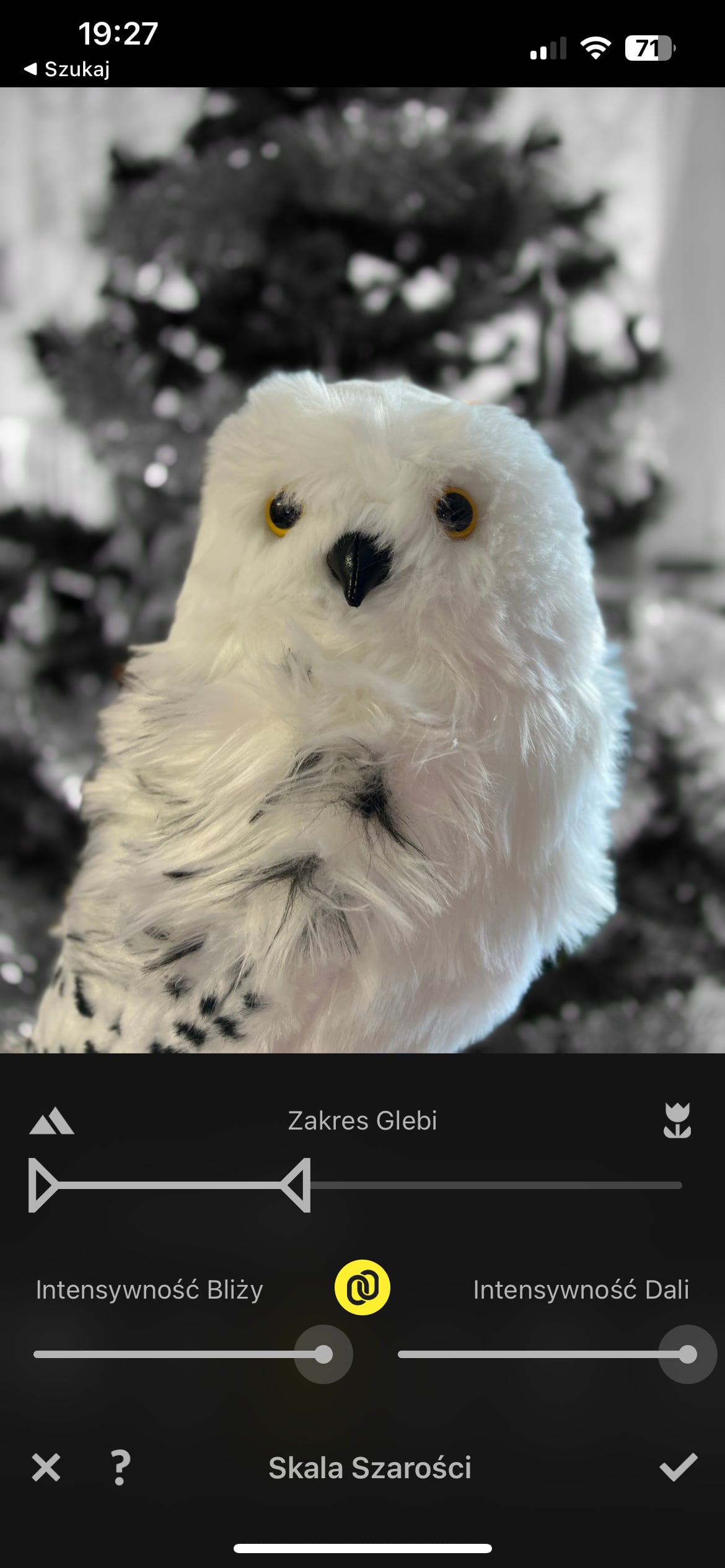 iOS Focos zdjęcia