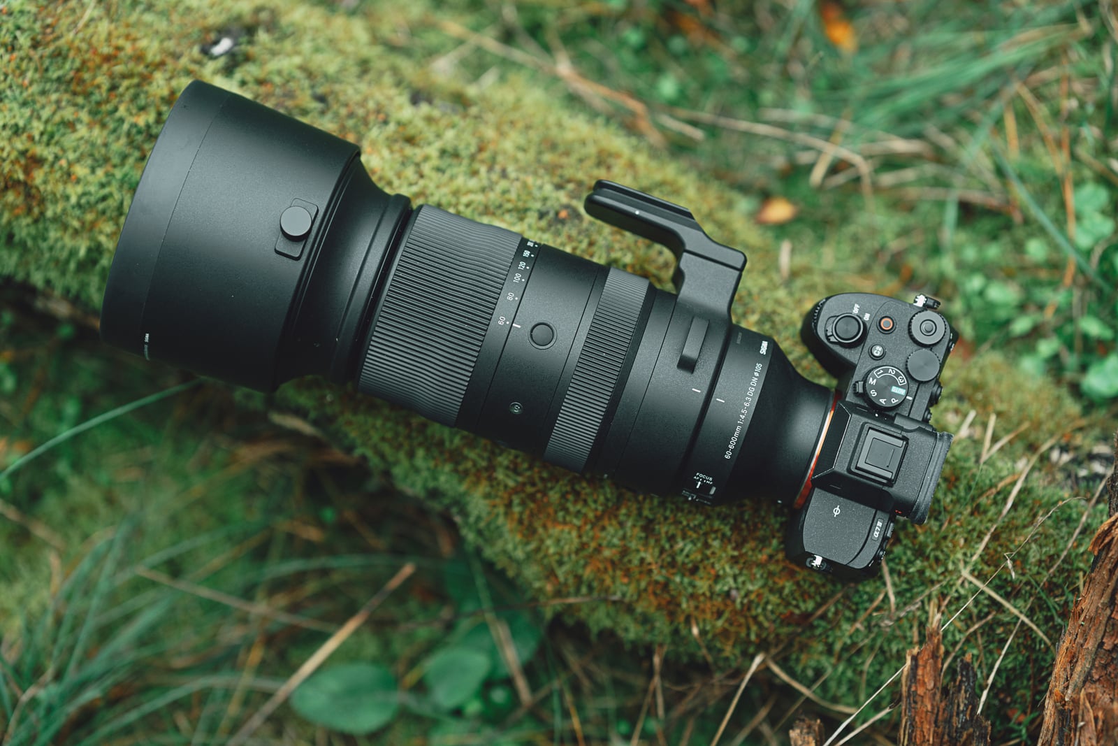 Sigma 60-600 mm f/4.5-6.3 DG DN OS