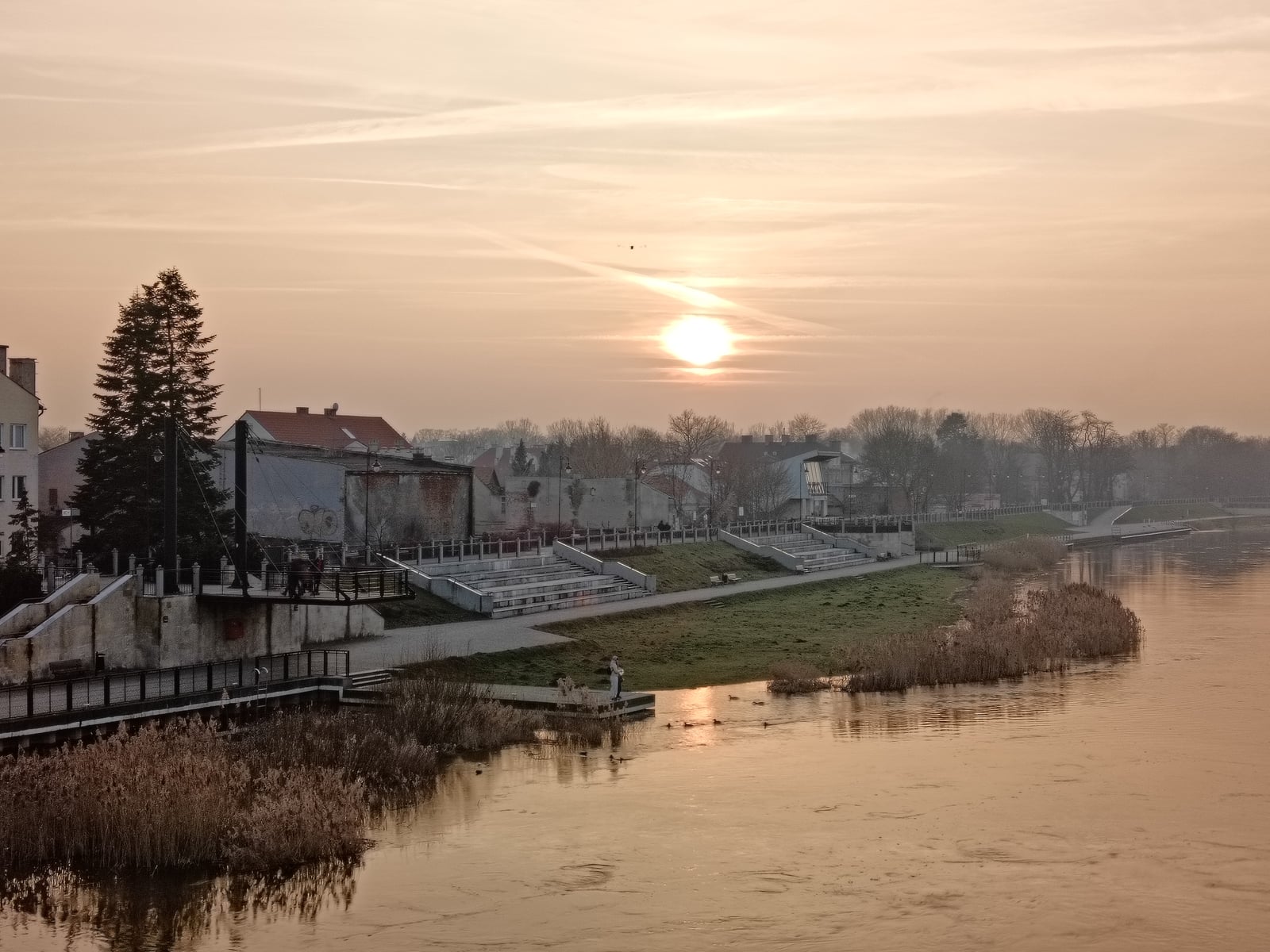 Oppo Reno 8T dzień