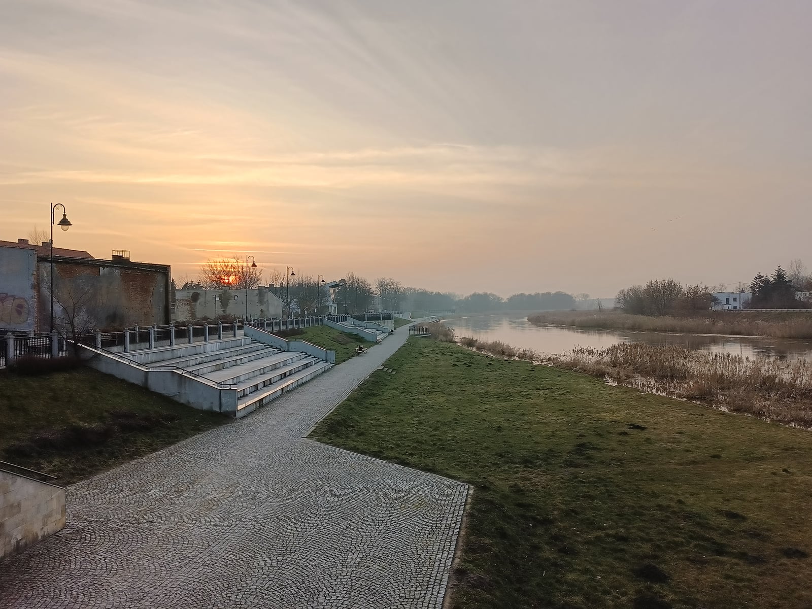 Oppo Reno 8T dzień