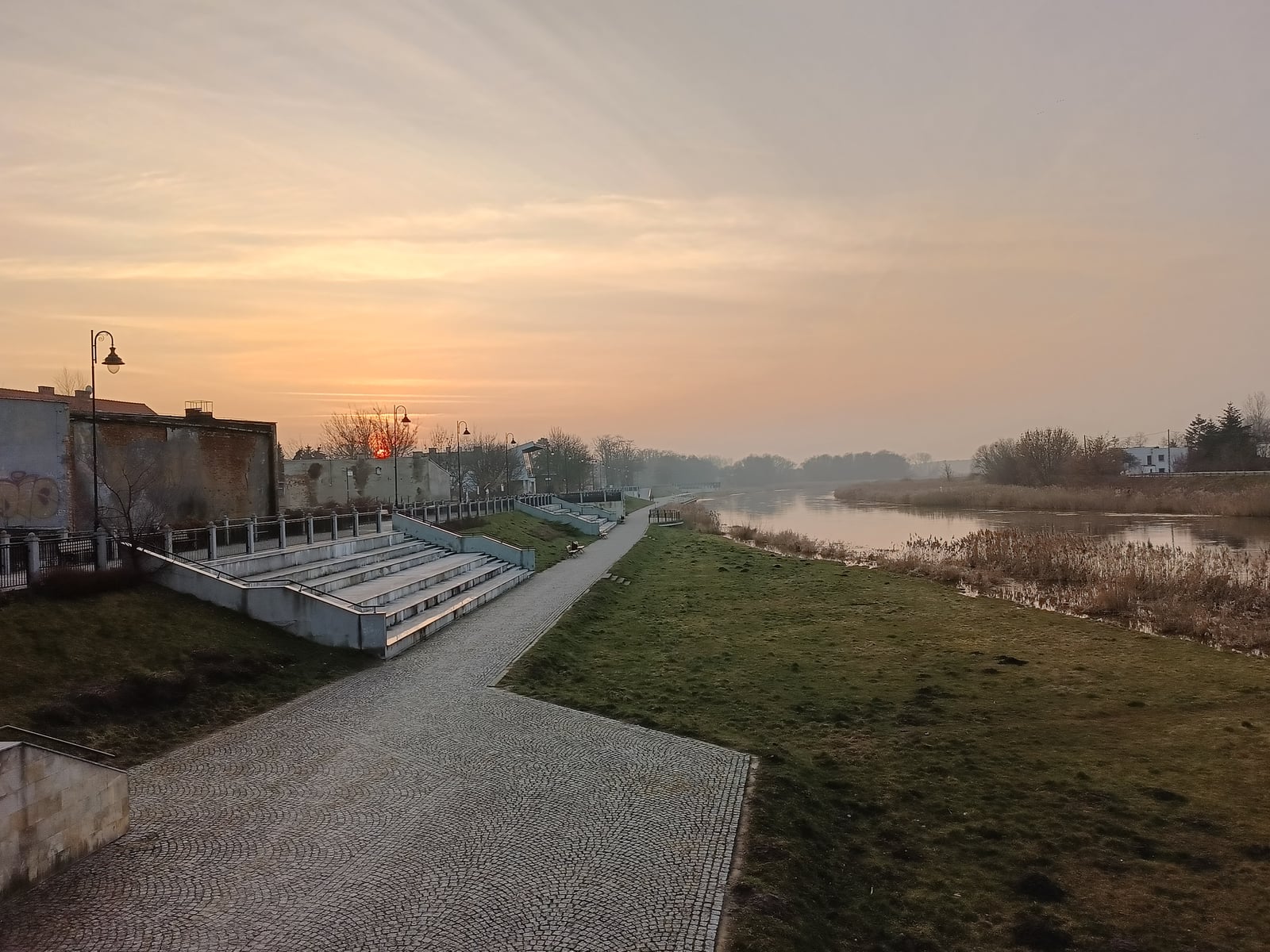 Oppo Reno 8T dzień