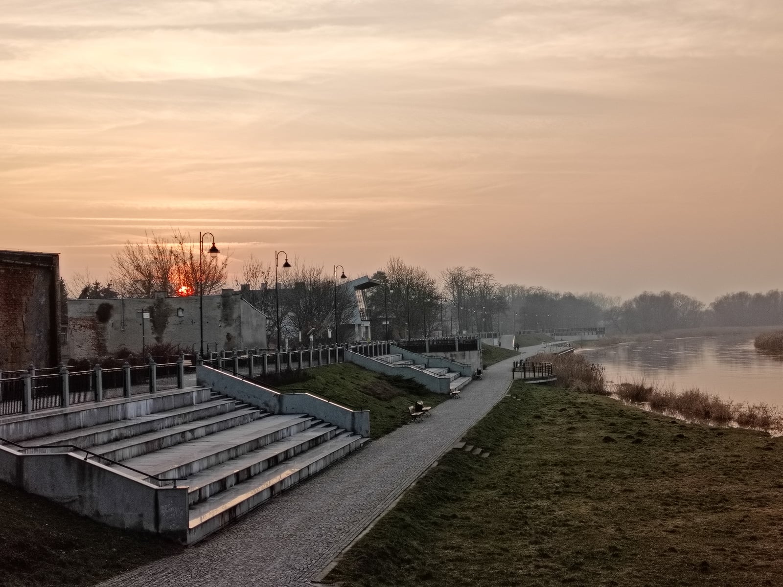 Oppo Reno 8T dzień
