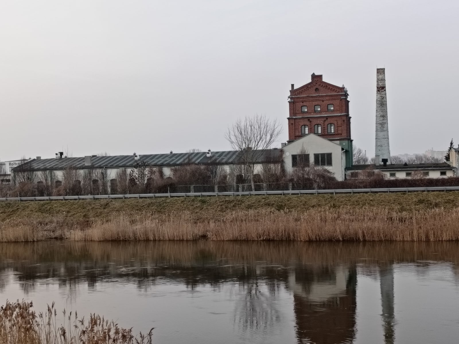 Oppo Reno 8T dzień