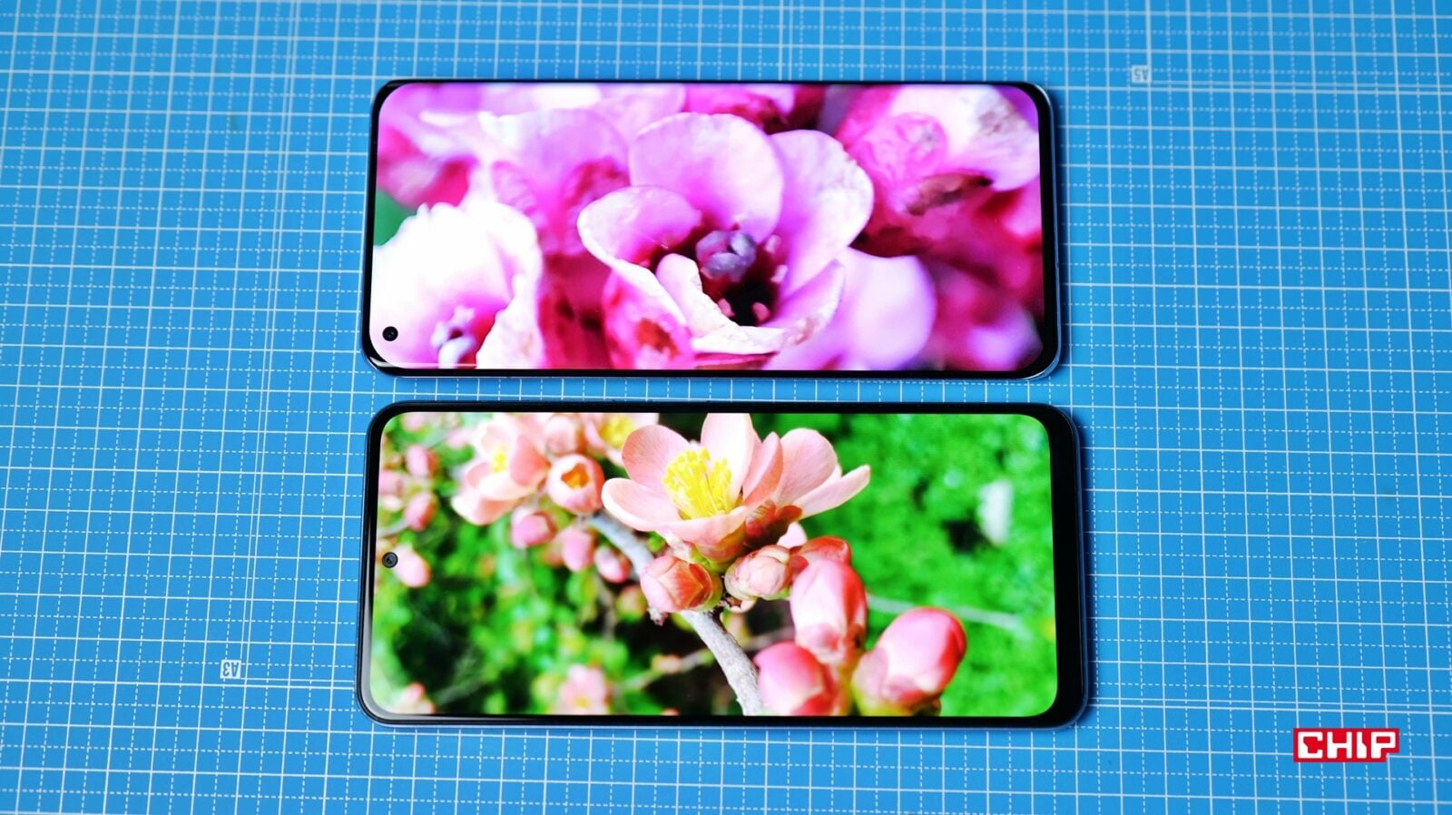 poco x5 czy xiaomi mi 11