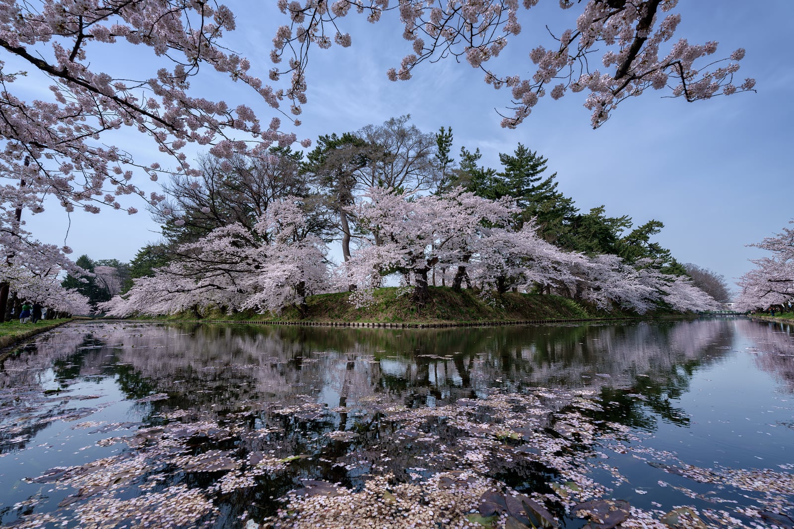 Sigma 14 mm f/1.4 DG DN