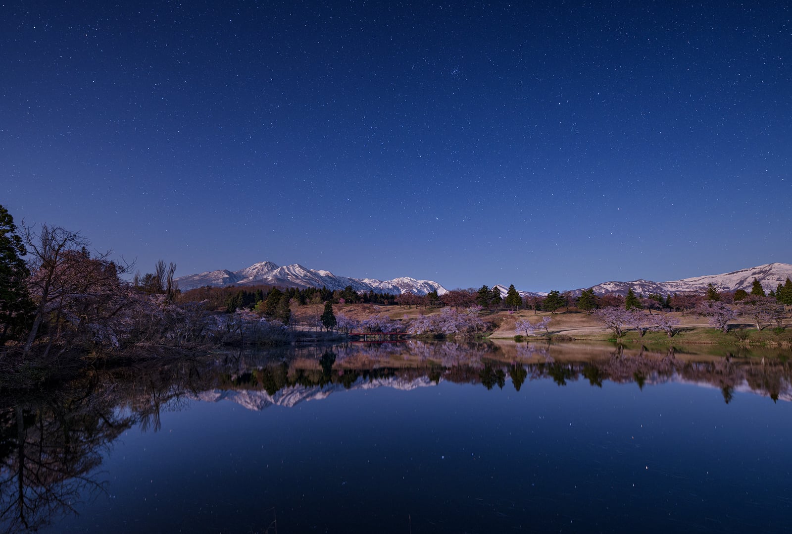 Sigma 14 mm f/1.4 DG DN