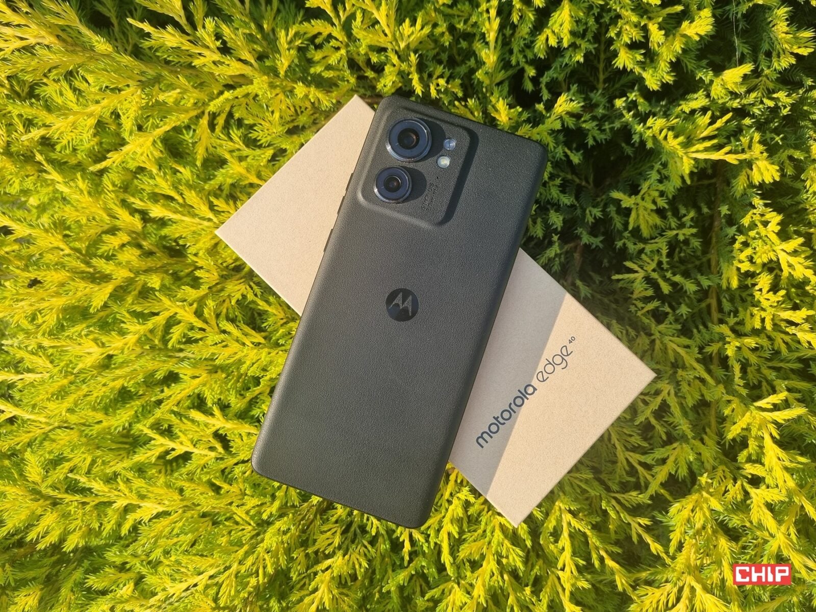 Motorola Edge 40