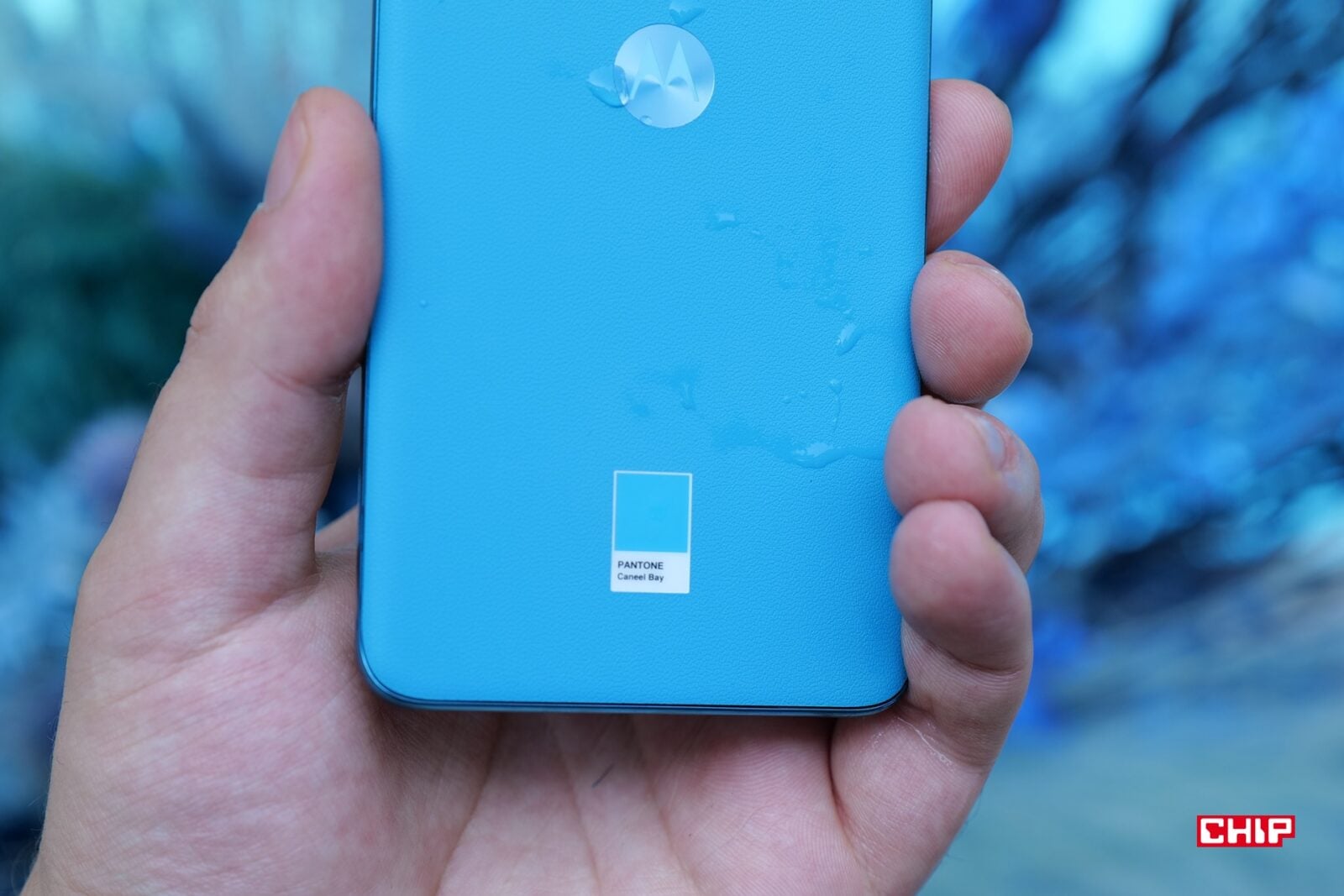 Motorola edge 40 neo logo panton