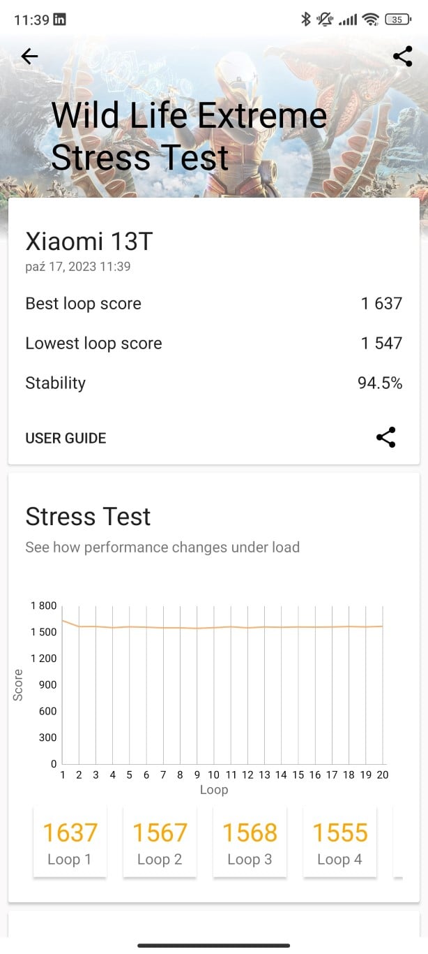 Wild Life Extreme Stress Test - 94,5%