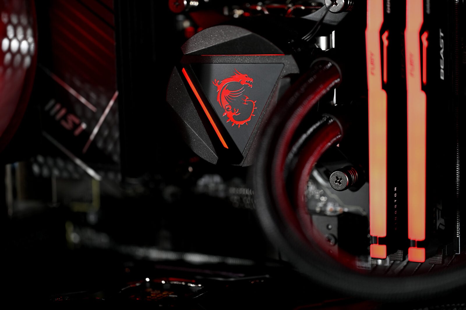 Actina MSI