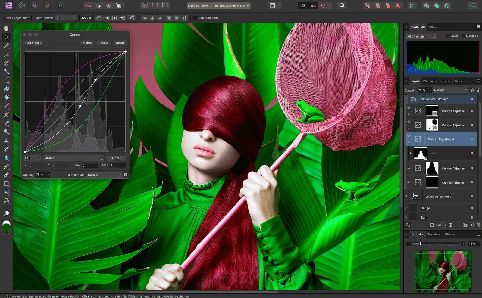 Canva Affinity