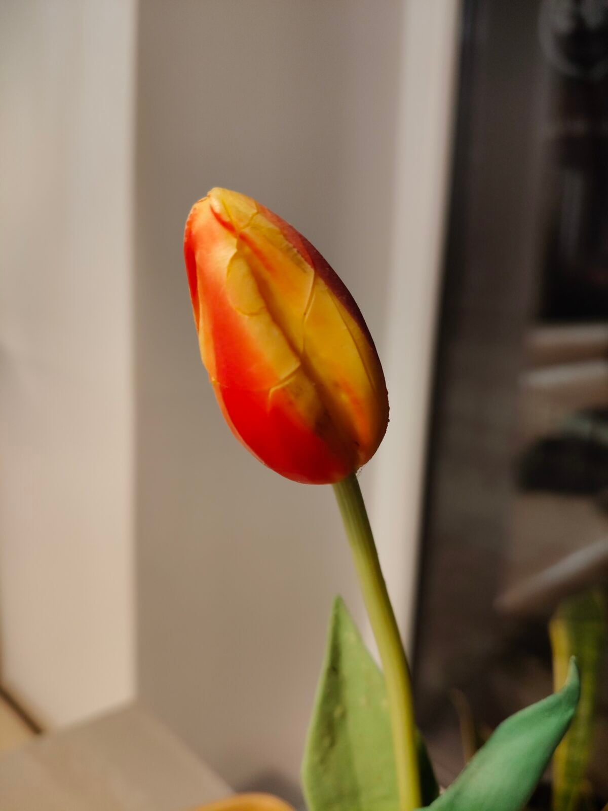 realme 12 Pro 5G
