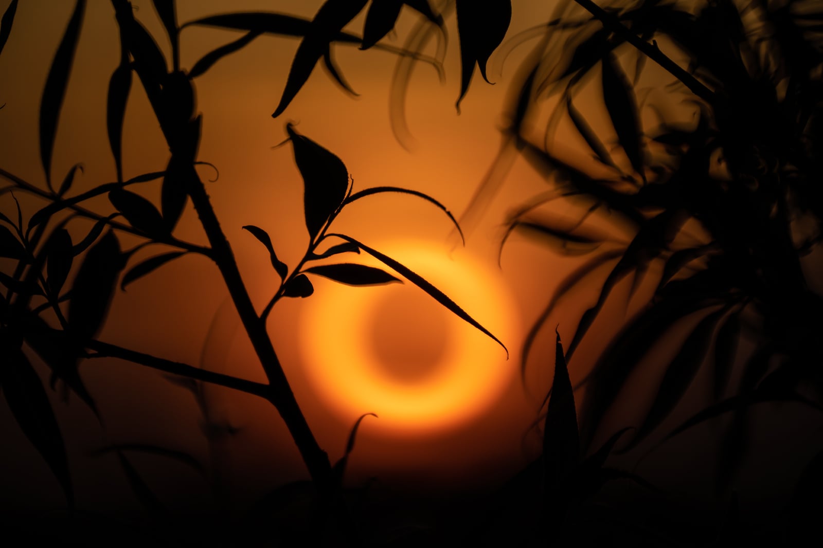 TTArtisan 250 mm f/5.6