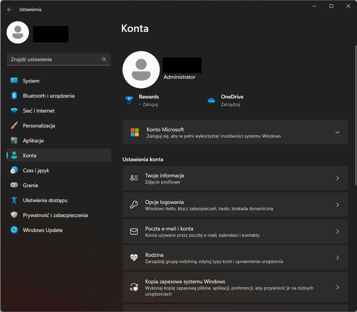 Windows 11