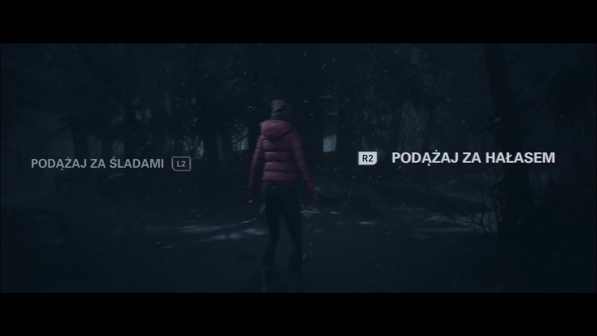 Until Dawn Remake