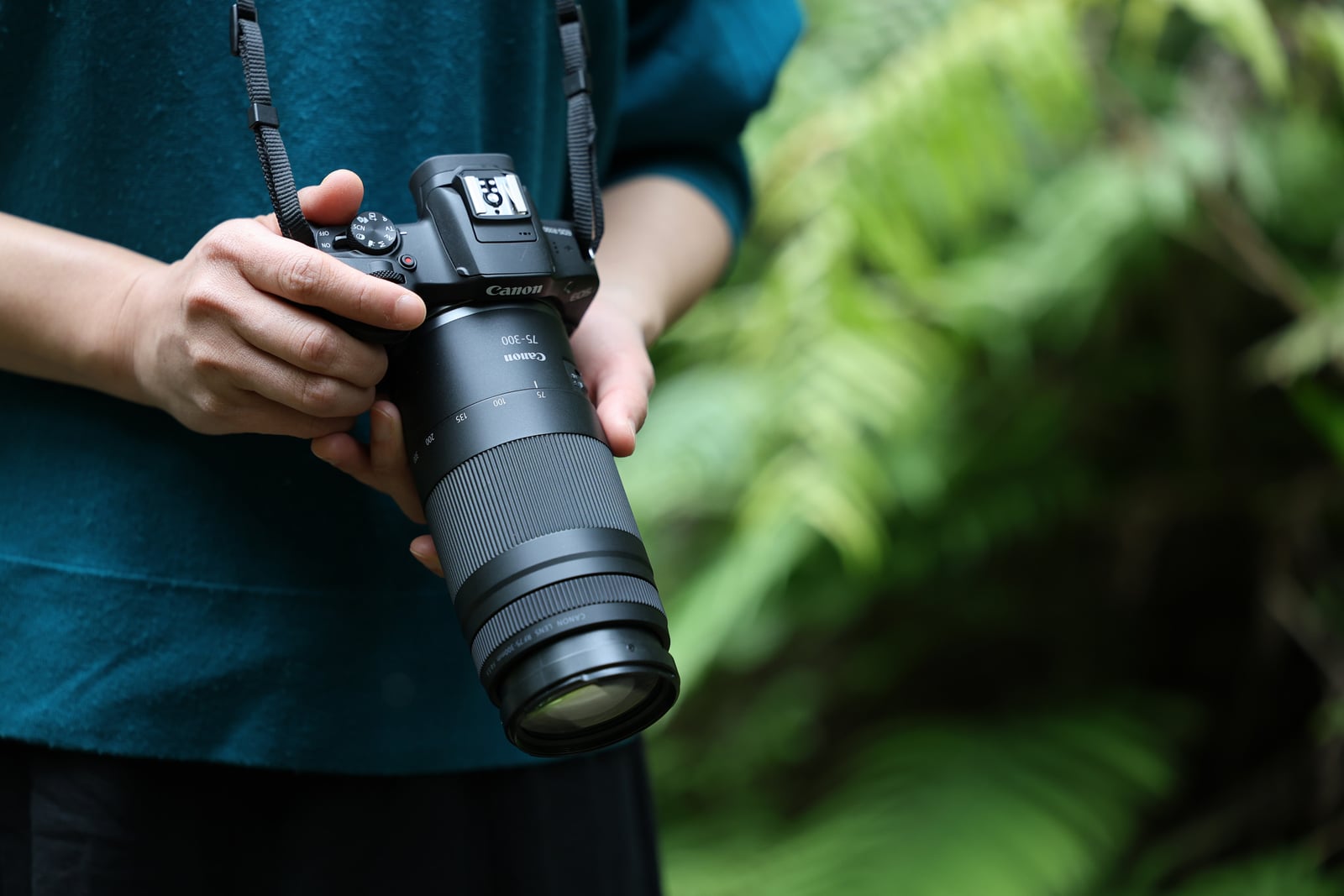 Canon RF 75-300mm f/4-5.6