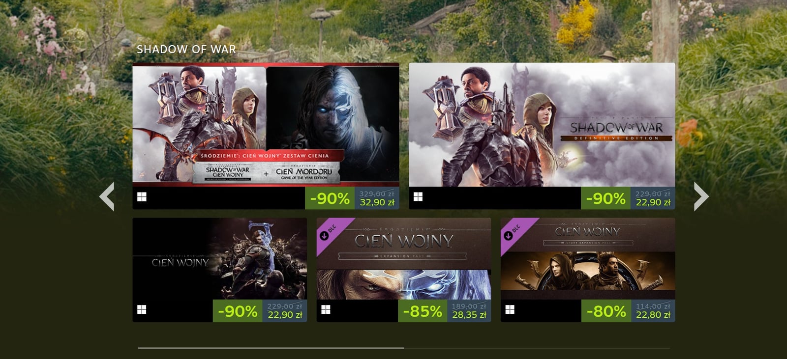 Steam