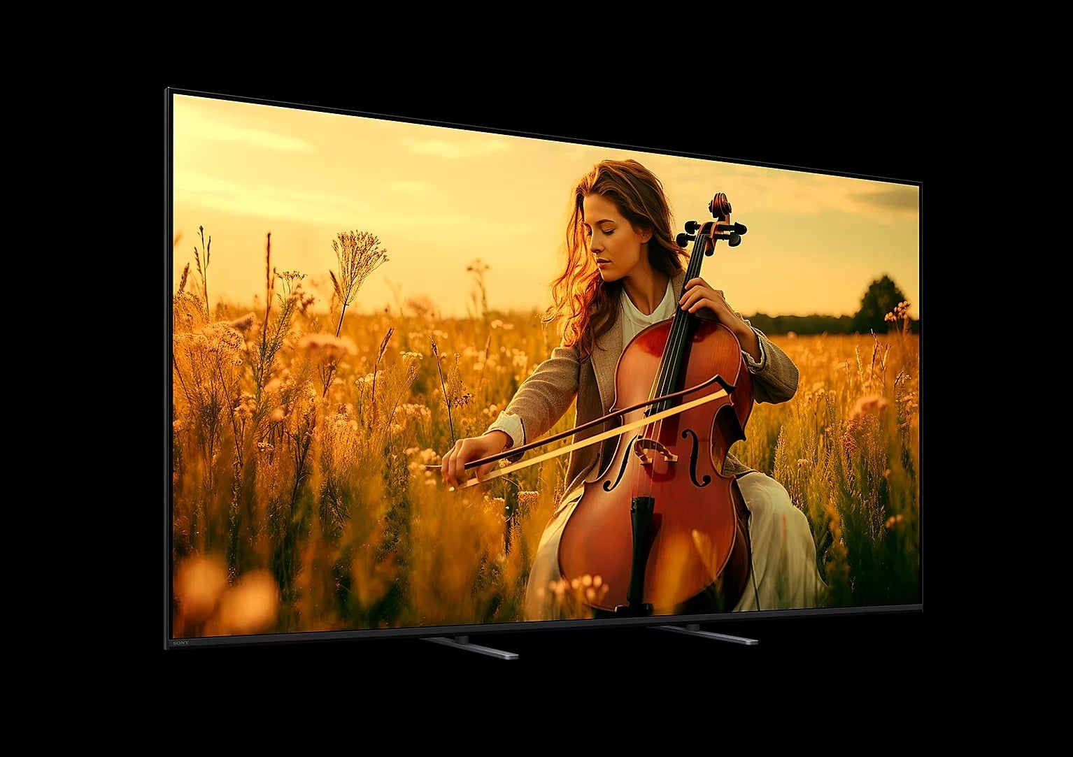 Bravia 5