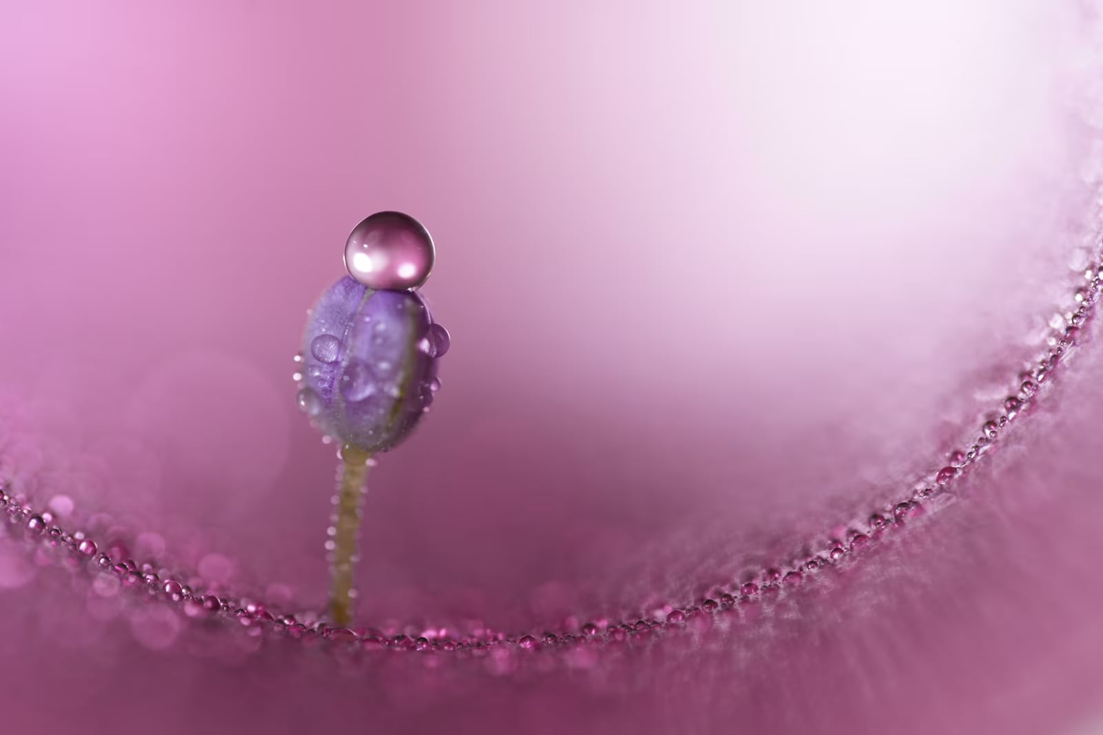 FE 100 mm