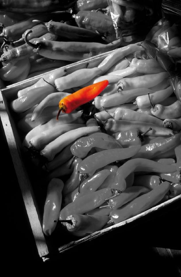 Kolorowy akcent na monochromatycznych zdjęciach