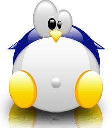 – Linux jest przerośnięty – twierdzi jego twórca