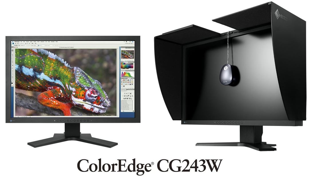 24-calowy monitor Eizo dla profesjonalistów