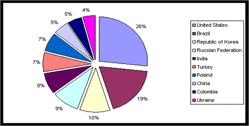 Plagi z Internetu: jaka jest prawdziwa skala zagrożeń?