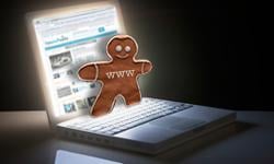 Witryny będą musiały ostrzegać o ciasteczkach