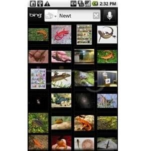 Bing dla systemu Android, tylko w sieci Verizon