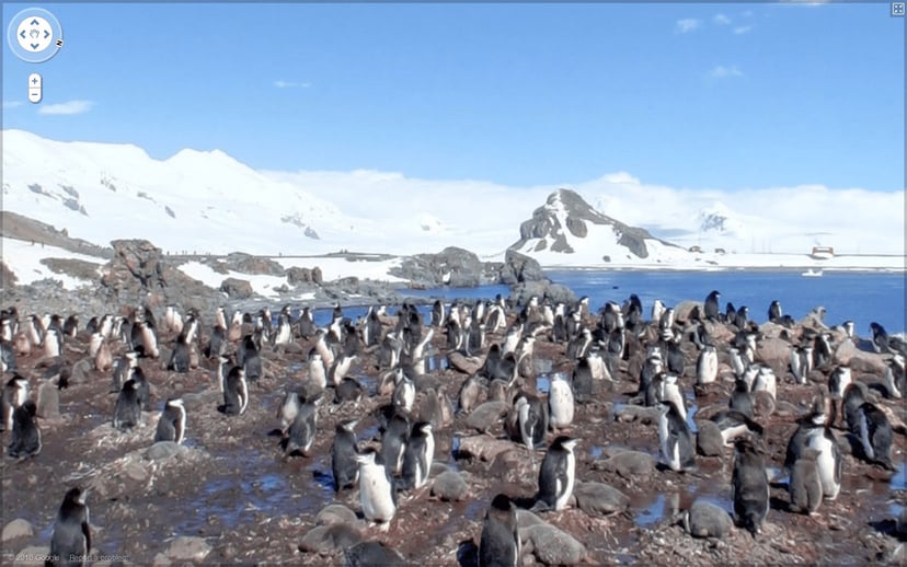 Google Street View na… Antarktydzie!
