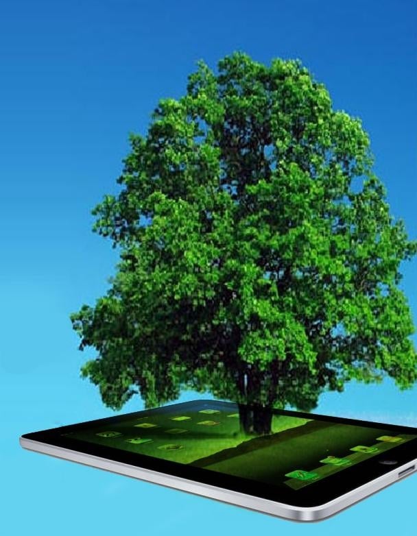 Tablety ratują drzewa