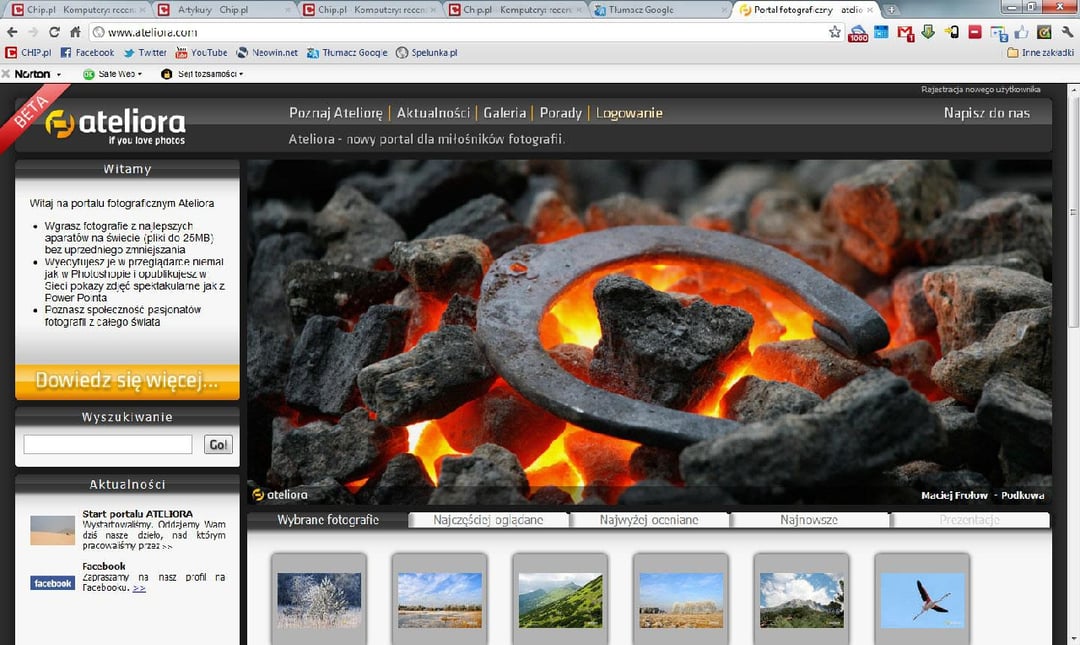 Polska konkurencja dla Picasy