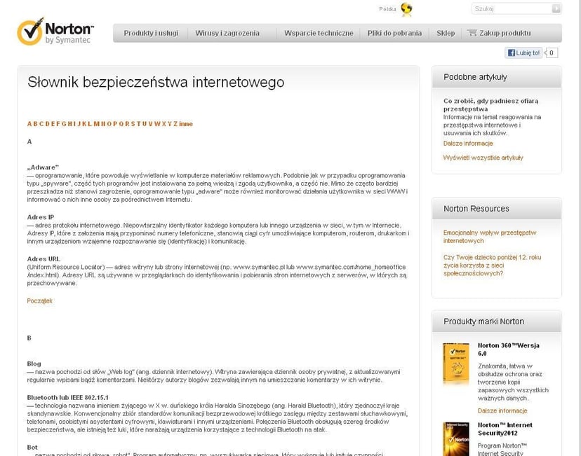 Krótki słownik internetowych zagrożeń, cz.I