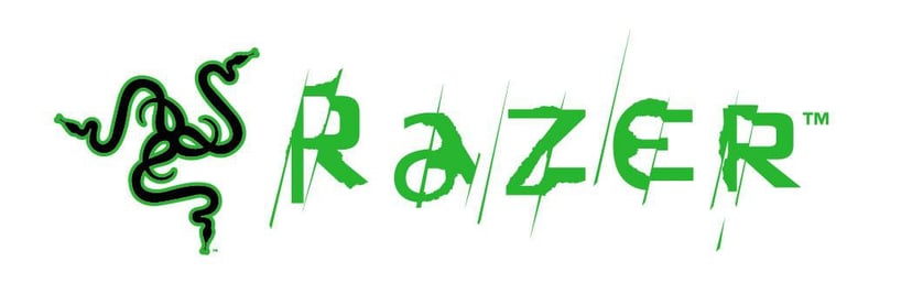 Program stażowy w Razer