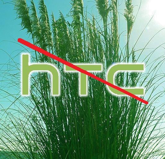 HTC jak No-Name… Bo trzcina ugina się, żeby powstać.
